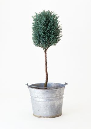 父親らしさを培うためのDIY教室