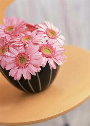 世田谷の住宅展示場で自分の家を見つけましょう