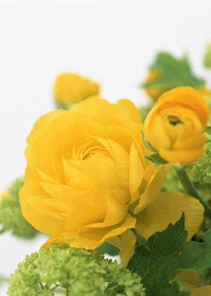 さまざまな鑑定方法を提供する三重の美術品鑑定